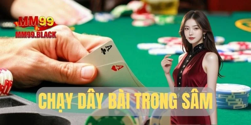 Chạy dây bài trong Sâm