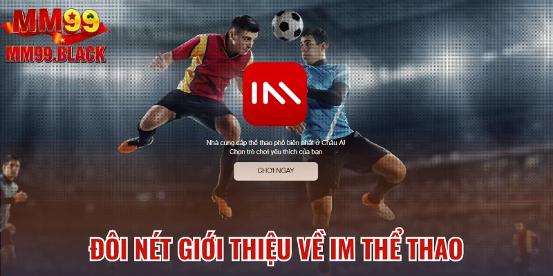 Đôi nét giới thiệu về IM thể thao