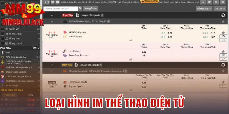 Loại hình IM thể thao điện tử
