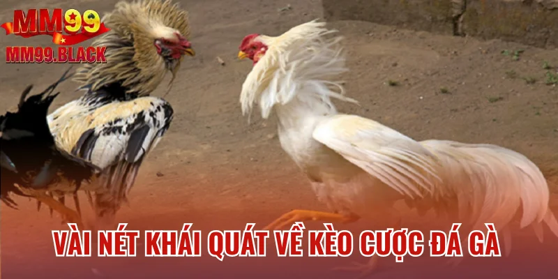 Vài nét khái quát về kèo cược đá gà