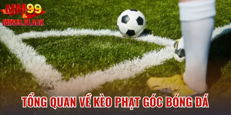Vài nét tổng quan về kèo phạt góc bóng đá